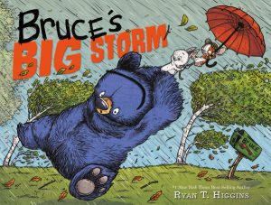 Bruce's Big Storm cover