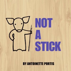 Not A Stick cover